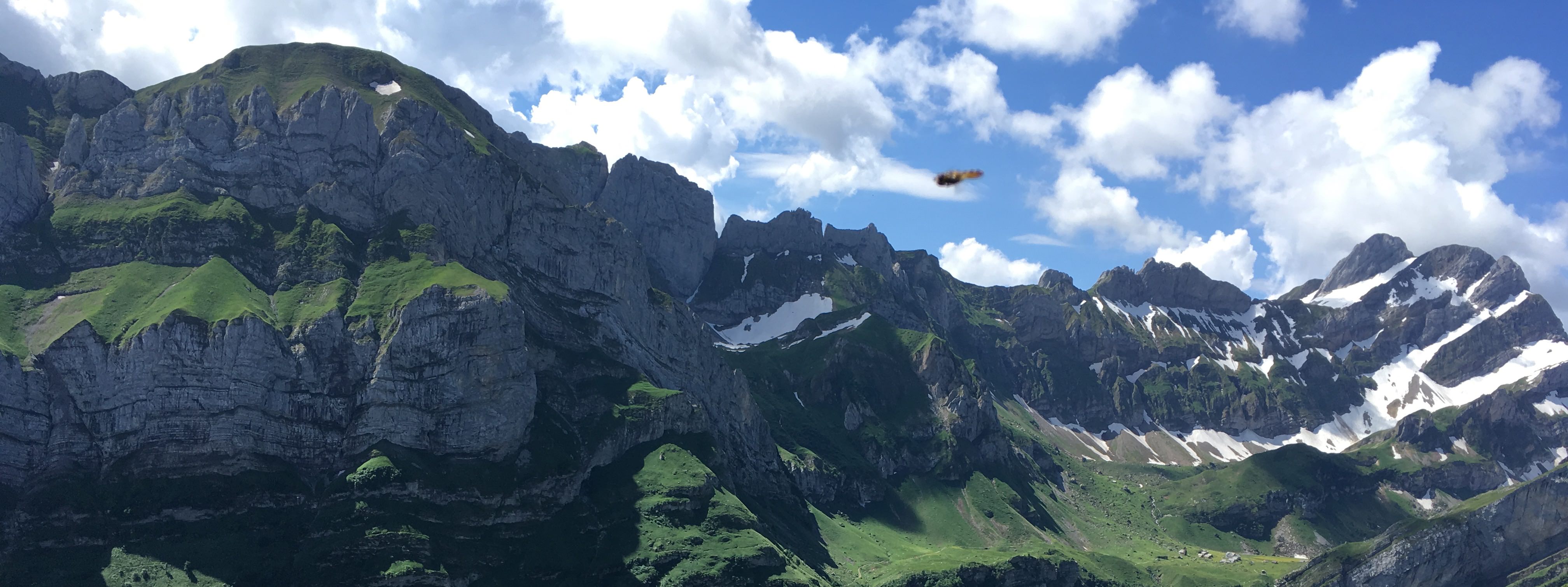 Sari Hands PLC banner